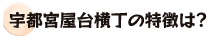 宇都宮屋台横丁の特徴は